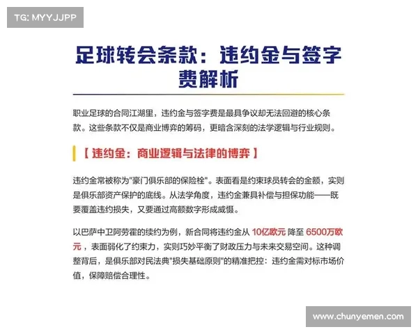 足球俱乐部转会资金投入规划与管理策略研究方案 足球俱乐部转会资金投入规划与管理策略研究方案