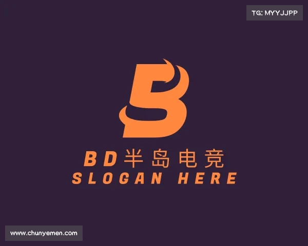 了解Bd半岛电竞
